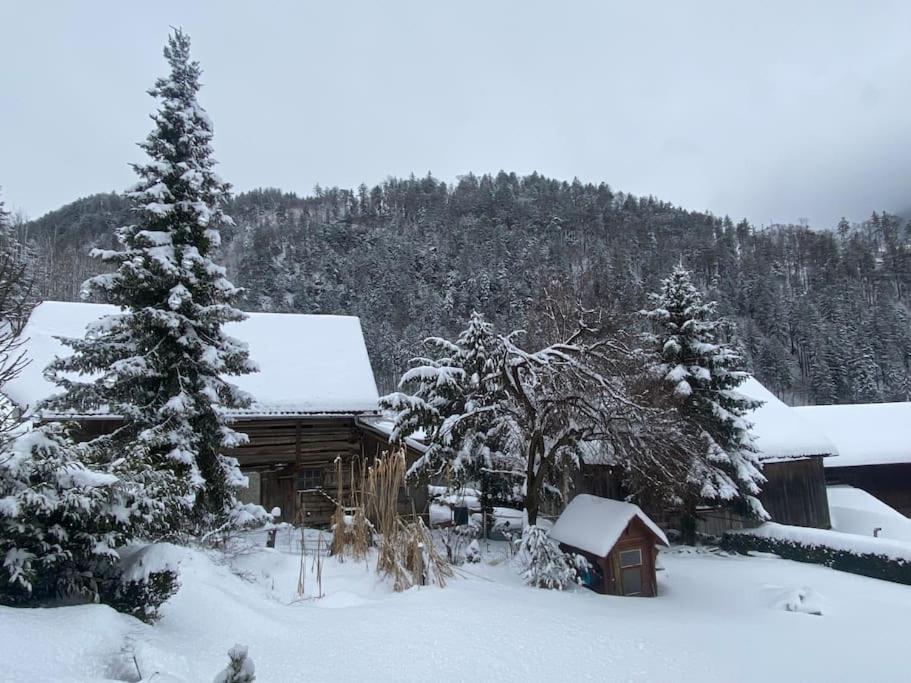Panorama Wohnung Rungelin Bludenz Exterior photo